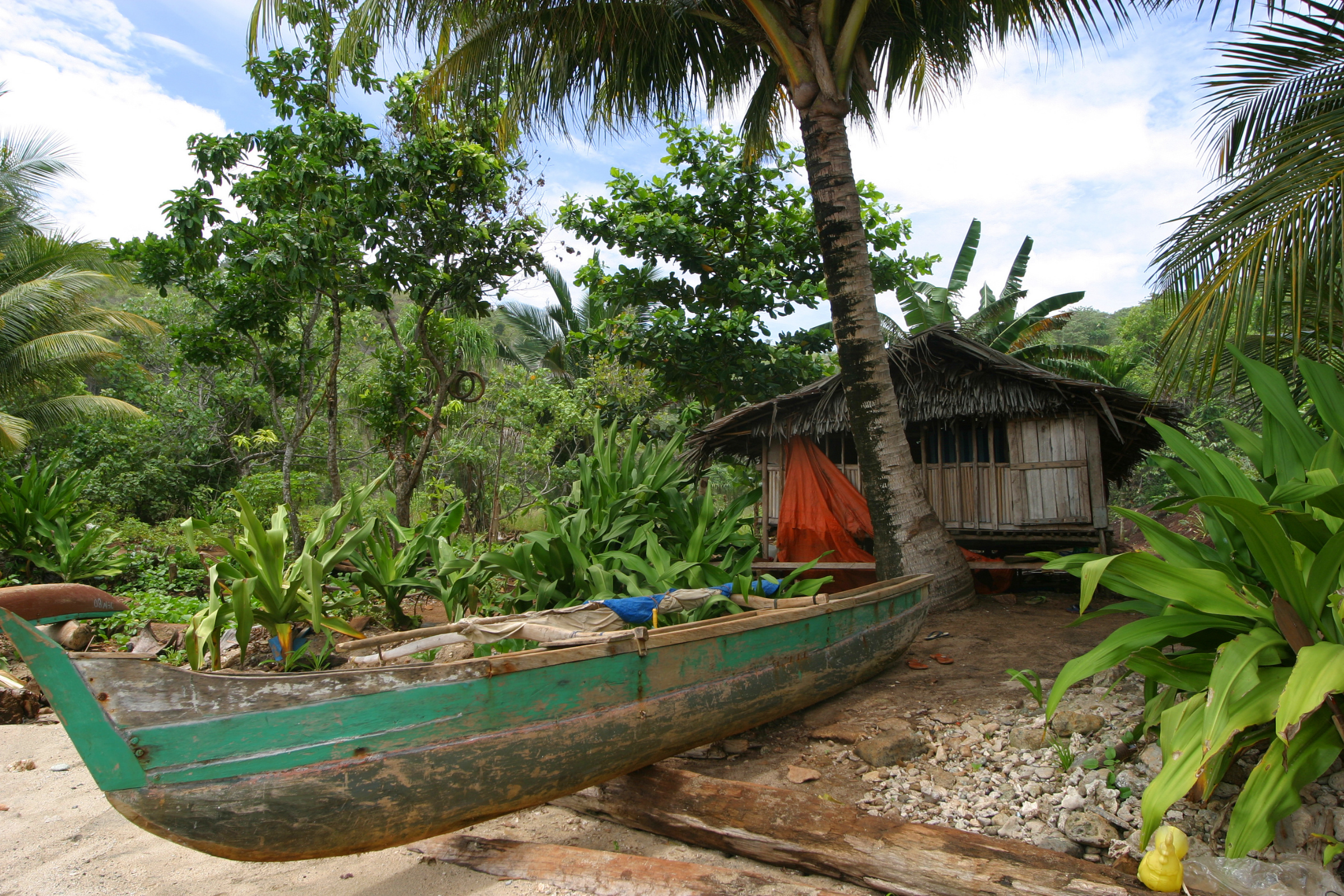 kopar village, sepik river (4).webp
